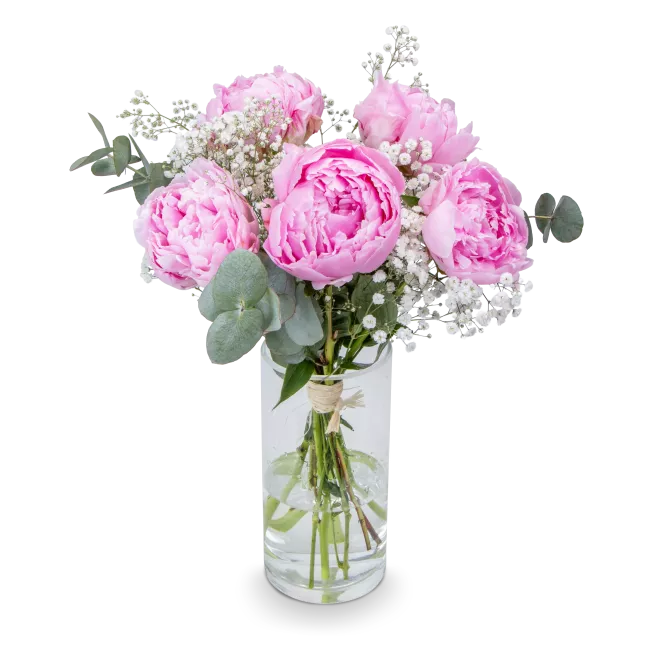 Bouquet of peonies